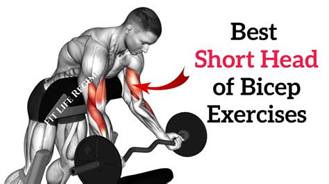 1) EZ Bar Preacher Curls. EZ bar preacher curls are one of the best exercises for short head of biceps. The zig-zagged center of the EZ bar will allow you to shift your grip and maintain proper ...